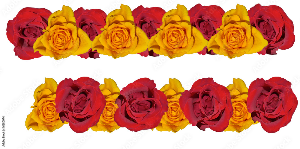 Line from roses. Line from roses.