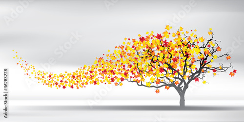 autumn wind tears the leaves, vector