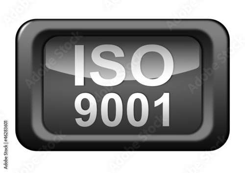 Iso 9001, Vektor