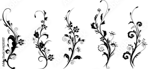 collection of florals design element