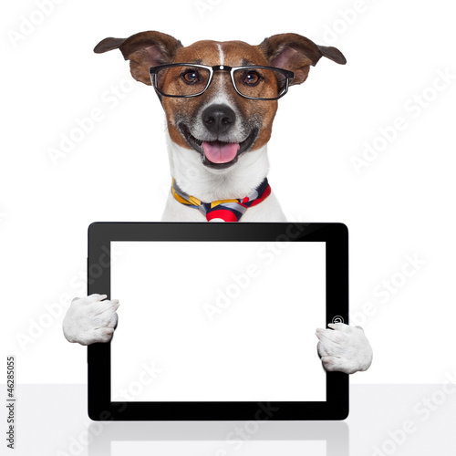 Outdoor-Kissen business dog tablet pc ebook touch pad - Nikkel-Art.de