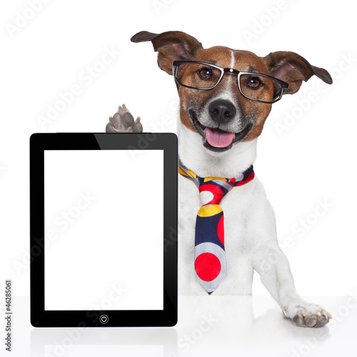 business dog tablet pc ebook © Javier brosch