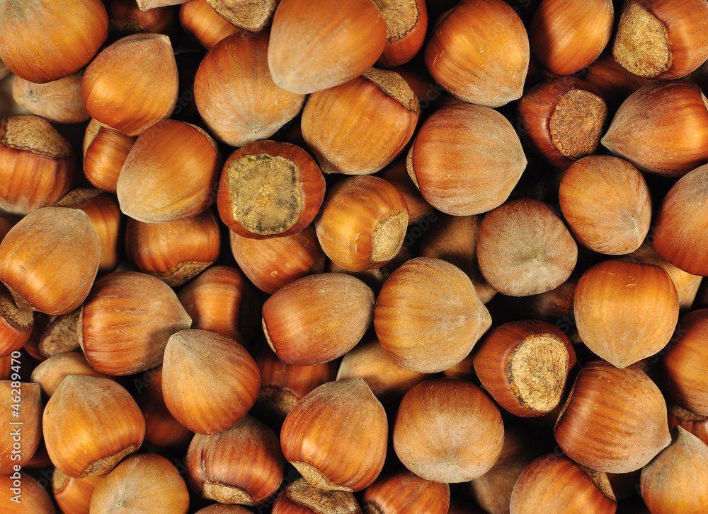 Hazelnuts