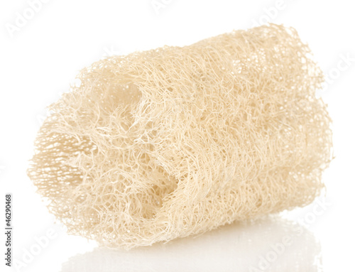 Loofah isolated on white