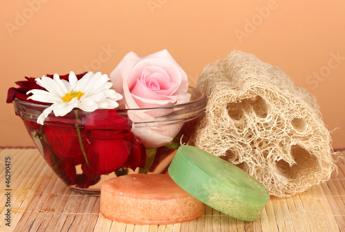 Obraz na płótnie Loofah on color background