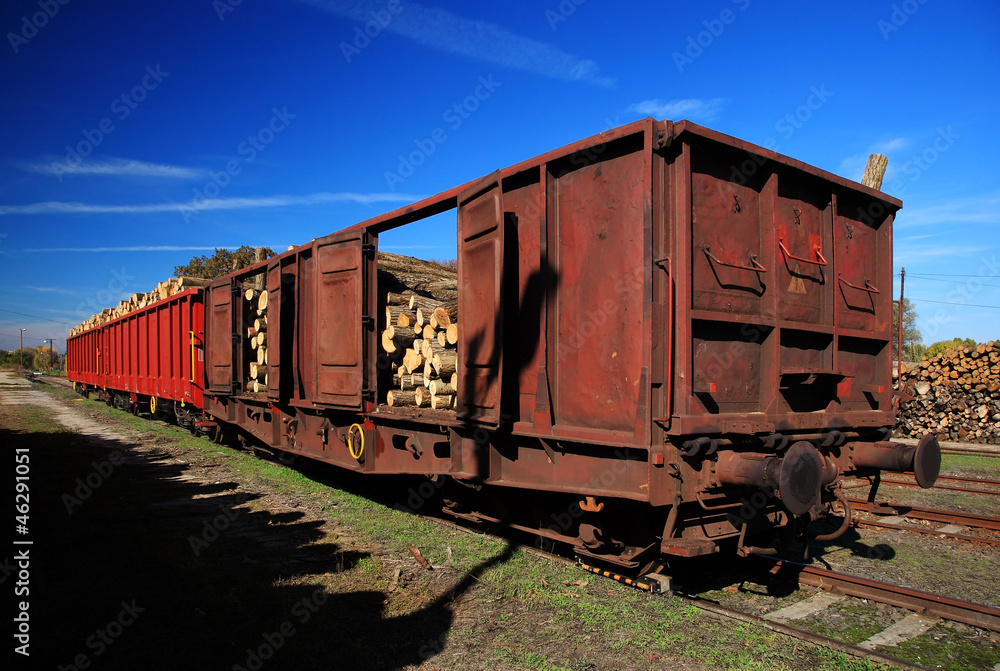 Freight wagon full of timber