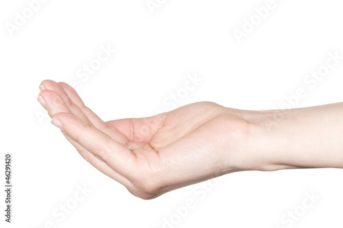 Empty hand over a white background. Begging gesture.