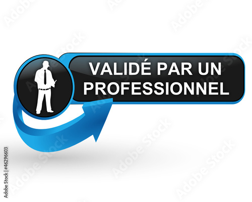validé par un professionnel sur bouton web design bleu