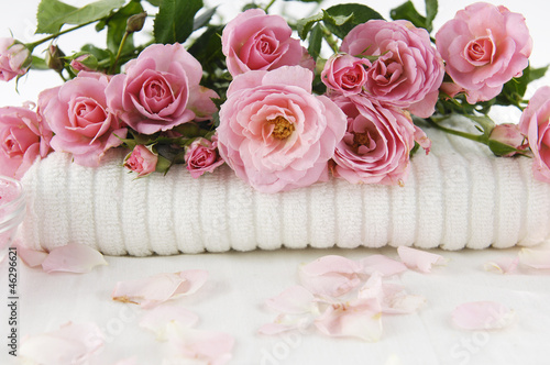Pink branch rose on soft towel background