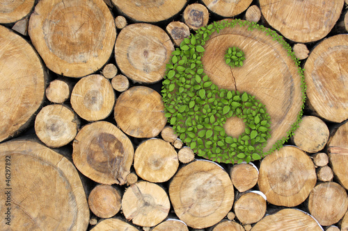 Stacked Logs Background with ying yang symbol photo