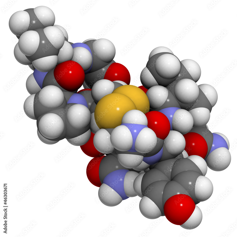 Oxytocin (cuddle hormone) molecule, chemical structure Oxytocin (cuddle hormone) molecule, chemical structure