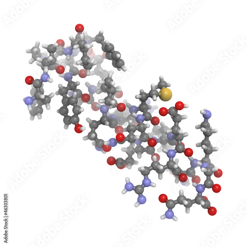 Motilin polypeptide hormone molecule, chemical structure photo