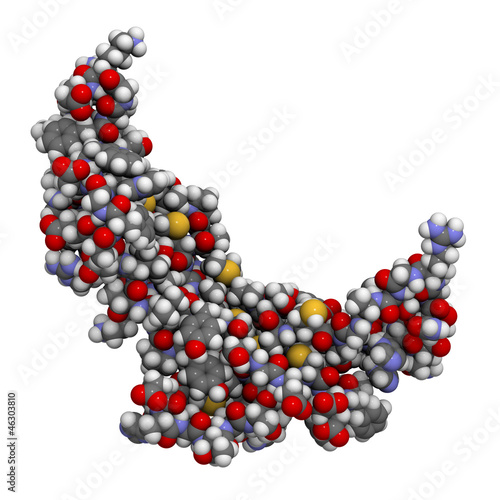 Naklejka Myostatin 