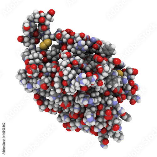 Interleukin 6  IL-6  molecule  chemical structure