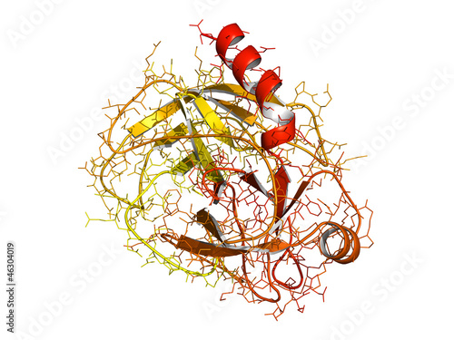 trypsin enzyme molecule, chemical structure. photo