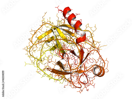 фотографія trypsin enzyme molecule, chemical structure.