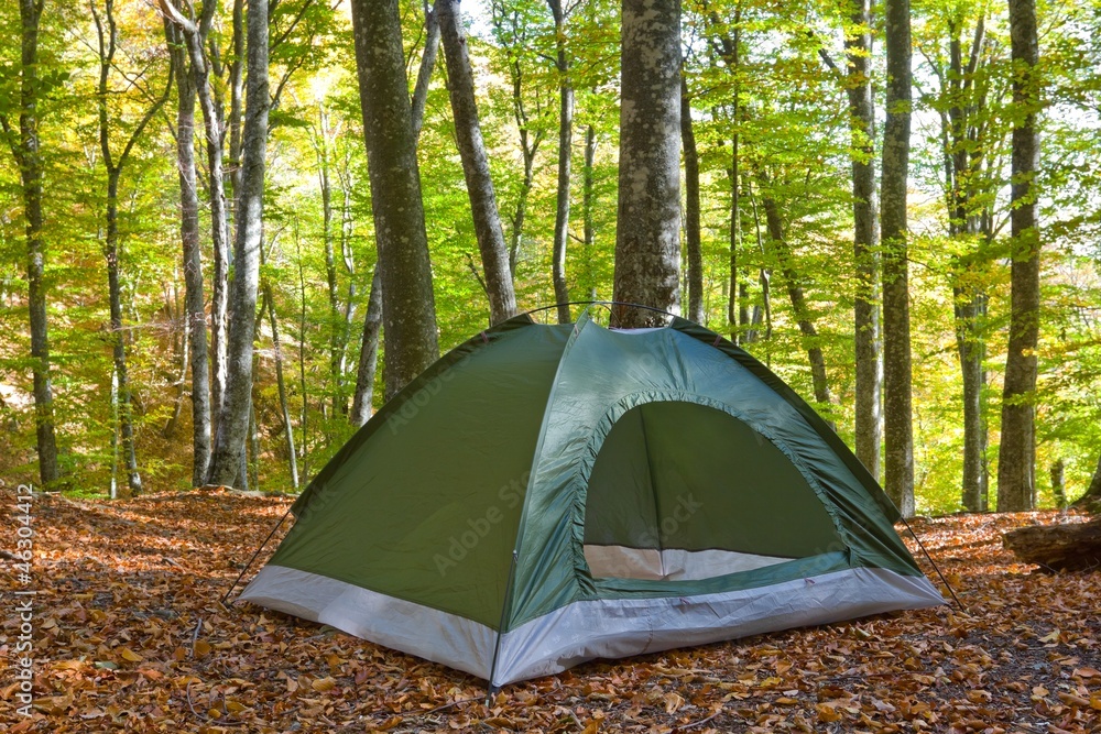 touristic tent in a autumn forest