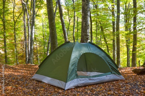 touristic tent in a autumn forest
