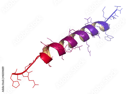 Glucagon peptide hormone molecule, chemical structure photo
