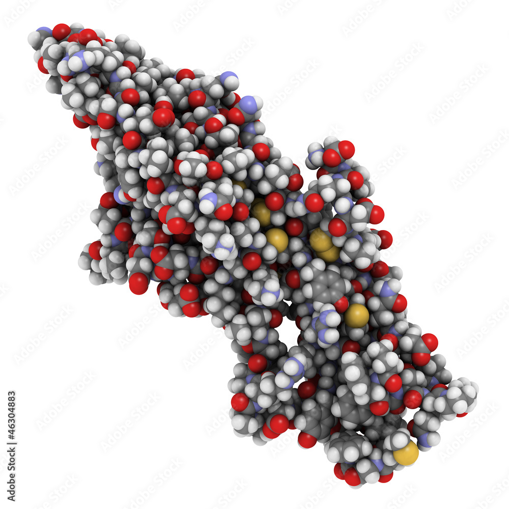 Follicle-stimulating hormone (FSH) molecule, chemical structure Follicle-stimulating hormone (FSH) molecule, chemical structure
