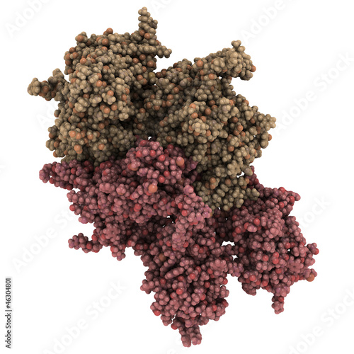 Coagulation factor VIII (FVIII) molecule, chemical structure photo