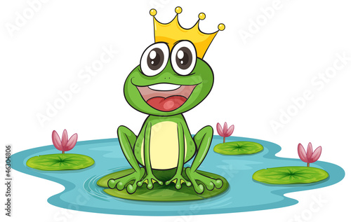 frog and water