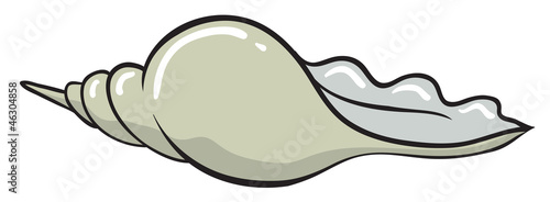 a cockleshell