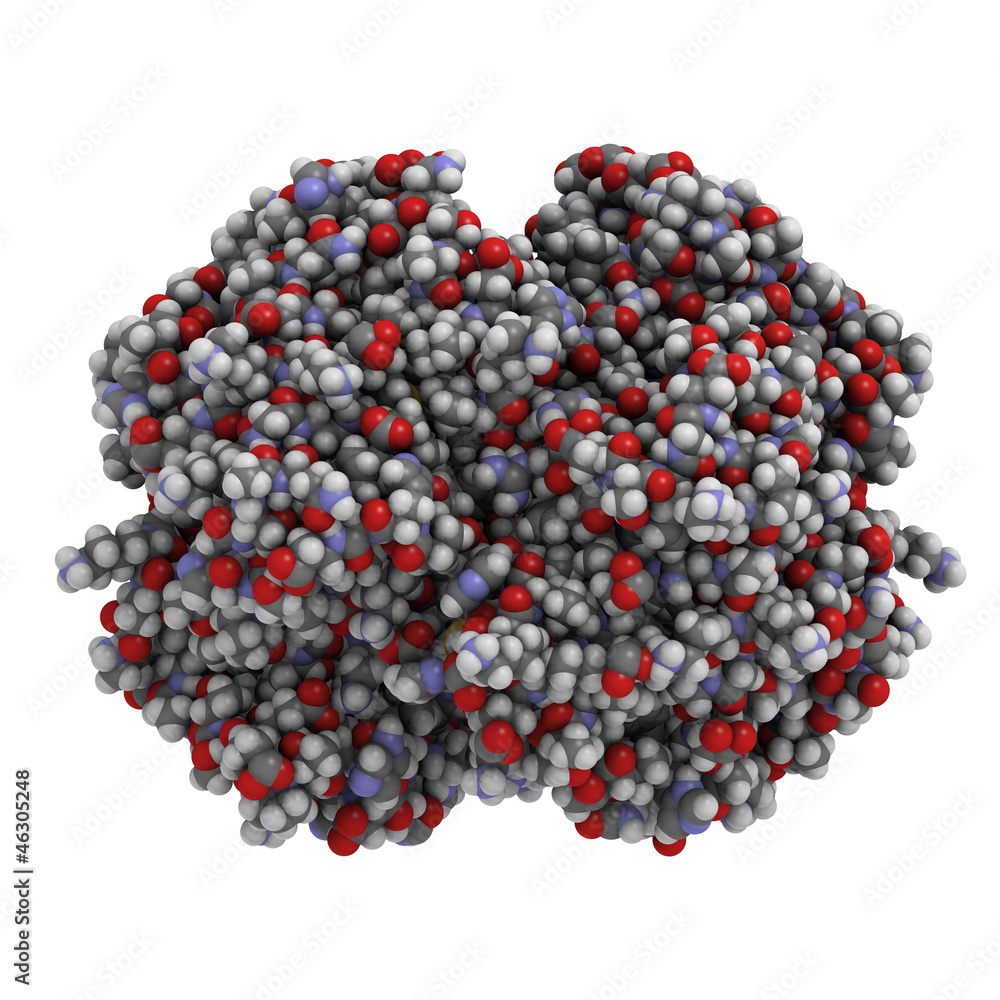 Hemoglobin protein (Hb), chemical structure Hemoglobin protein (Hb), chemical structure