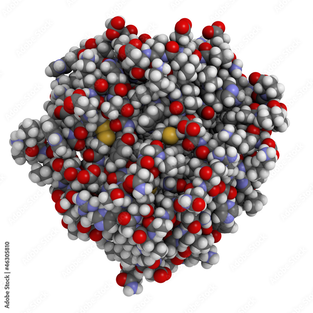Prostate-specific antigen (PSA), chemical structure Prostate-specific antigen (PSA), chemical structure