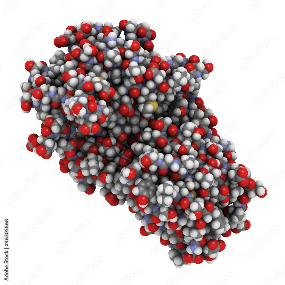 Pepsin enzyme molecule, chemical structure Pepsin enzyme molecule, chemical structure