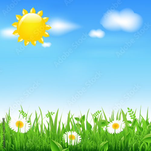 Landscape With Sun And Camomiles