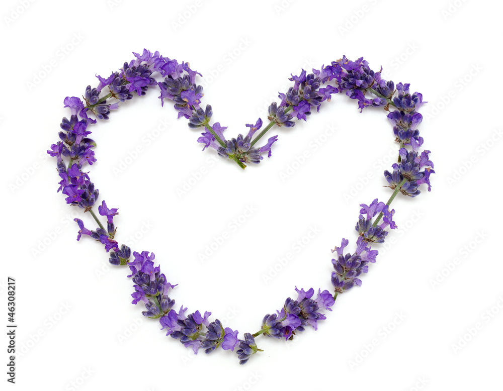 fresh lavender heart