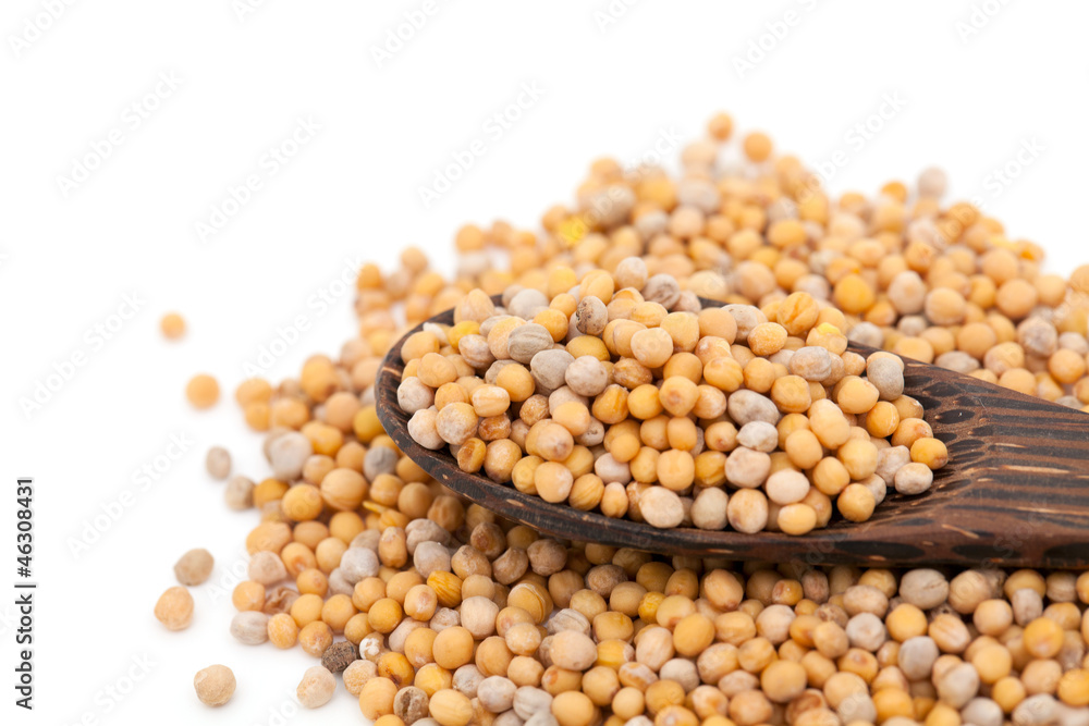 mustard seeds isolated on white background mustard seeds isolated on white background