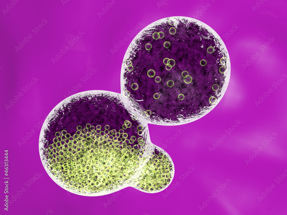 Fototapeta premium mauve molecules