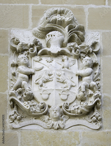 Heraldic shield