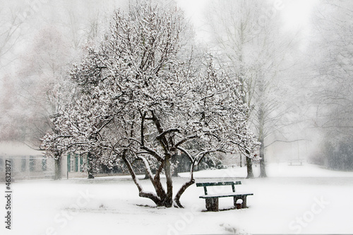 weisse Schneelandschaft photo