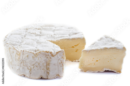camember cheese photo