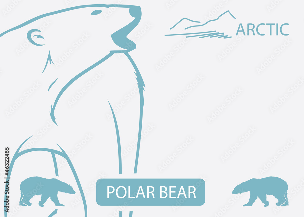 Fototapeta premium Polar bear background - vector illustration