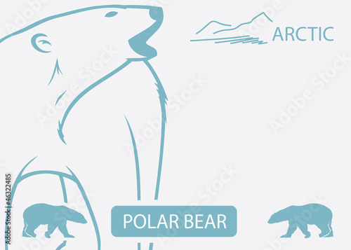Polar bear background - vector illustration