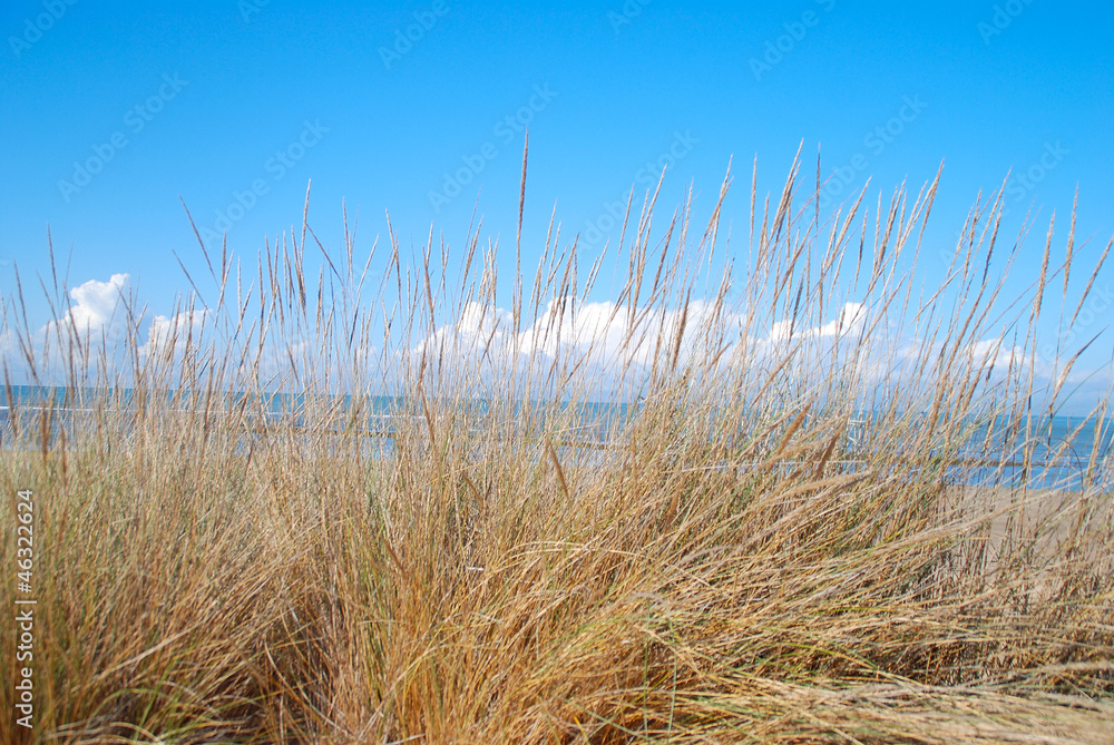 Fototapeta premium ENTORNO,PARAJE, AL AIRE LIBRE. PLAYAS Y MAR. AVENTURA