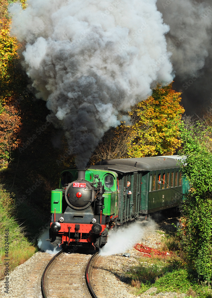 Obraz premium Jesienny pociąg parowy