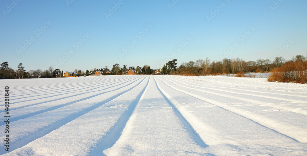 Rural English Winter Landscape