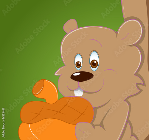 Squirrel Vector