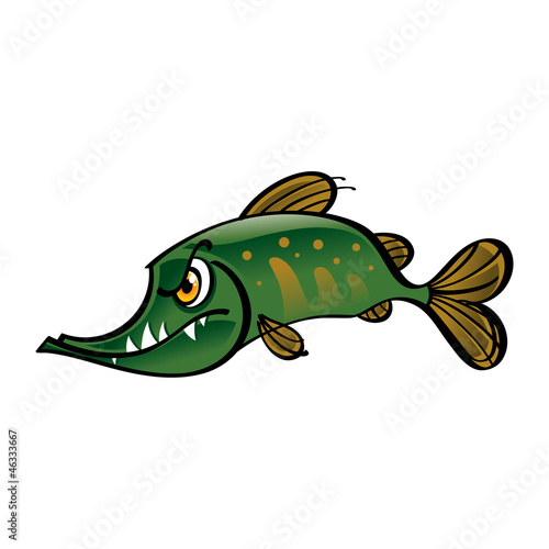 Pike fish