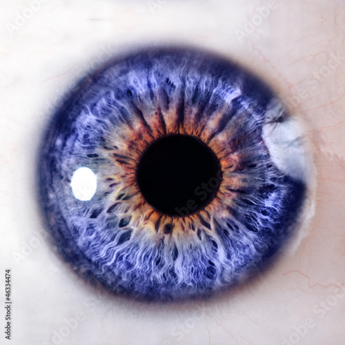 Human eye. macro shooting