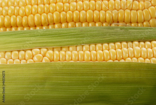 corn cob