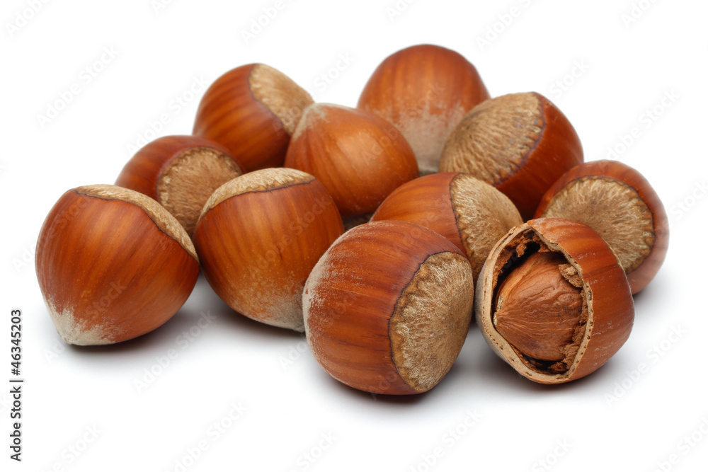Hazelnuts group Hazelnuts group