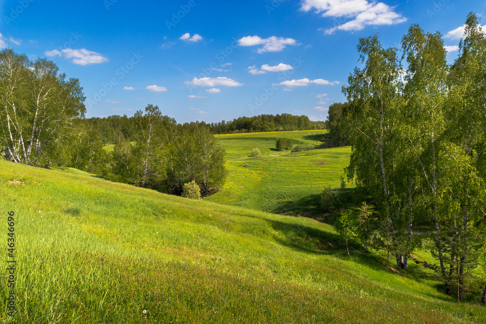 Green field