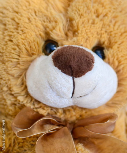 Teddy bear toy closeup
