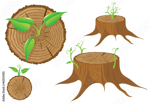 Tree stump and green plant shoot, vector illustration
